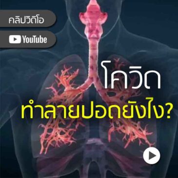 ปอด..เป้าหมายสำคัญของ โควิด