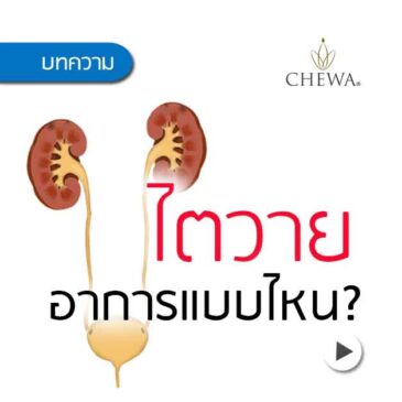 Ep53ไตวายเรื้อรัง อาการแบบไหน?