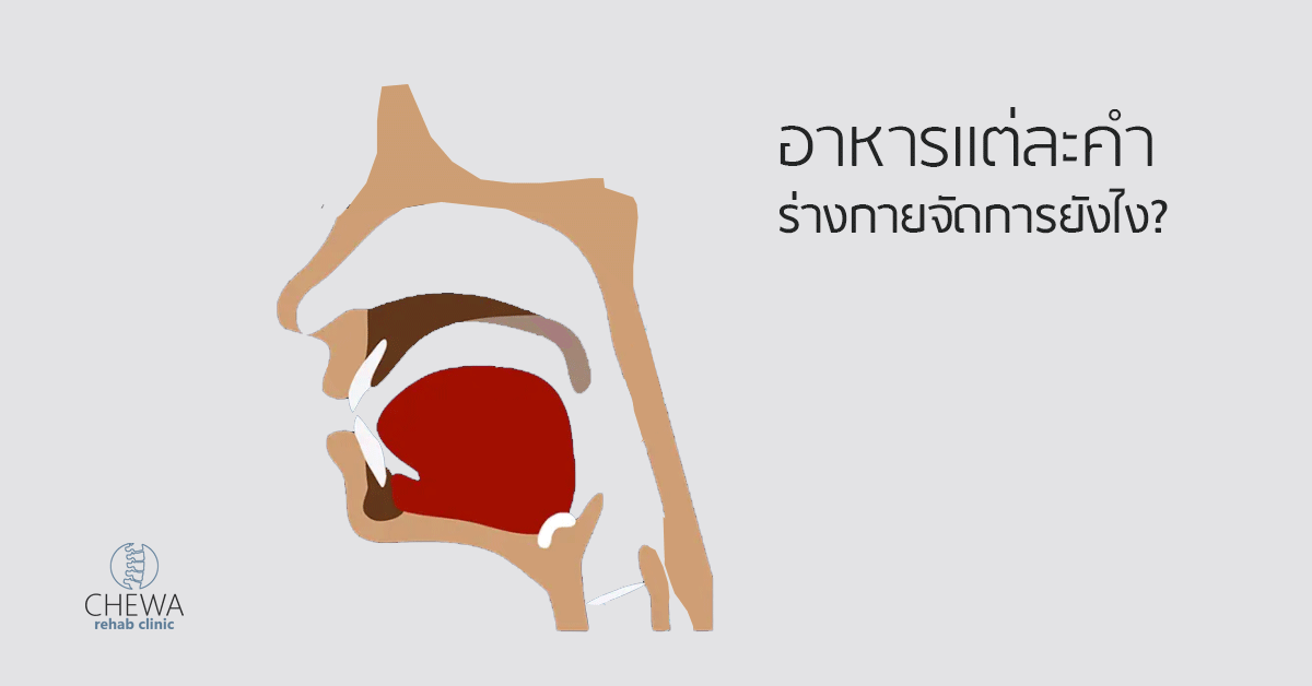 อัมพาต กลืนไม่ได้