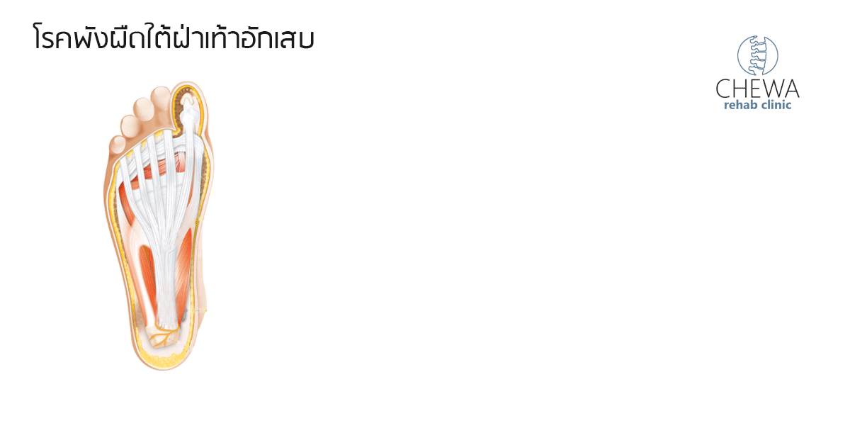คลินิกกายภาพบำบัด
