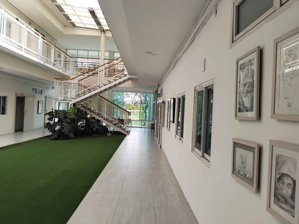 ดูแลผู้สูงอายุ